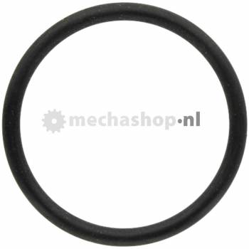 O-Ring Regelstift - 15402624